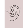 316L Çelik Gümüş Renk Zirkon Taşlı Yıldız Model Tragus Piercing