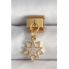316L Çelik Gold Renk Sallantı Zirkon Taşlı Yıldız Model Nomination Charm
