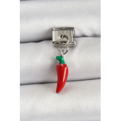 316L Çelik Gümüş Renk Kapya Biber Model Nomination Charm