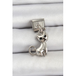 316L Çelik Renk Kedi Model Nomination Charm